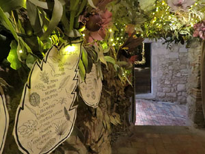 Temps de Flors 2025. Els Casa Lle&oacute; Avinay