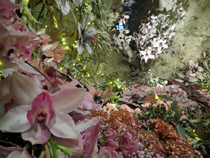 Temps de Flors 2025. Els Casa Lle&oacute; Avinay