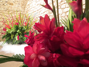 Temps de Flors 2025. Banys Àrabs