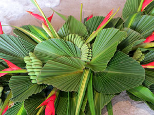 Temps de Flors 2025. Banys Àrabs