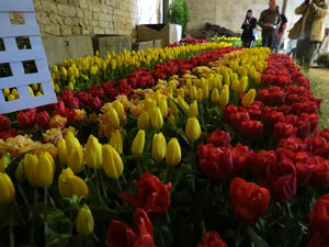 Temps de Flors 2025. Soterranis de la Catedral