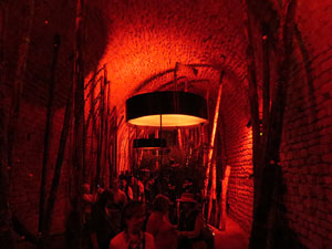 Temps de Flors 2025. Soterranis de la Catedral