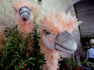 Temps de Flors 2025. Els Claustre de la Catedral