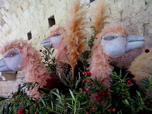 Temps de Flors 2025. Els Claustre de la Catedral