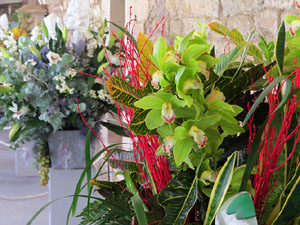 Temps de Flors 2025. Els Claustre de la Catedral