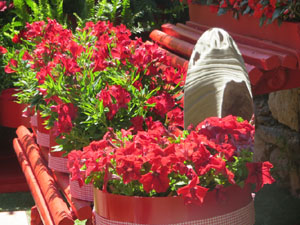 Temps de Flors 2025. Capella de Sant Cristòfol