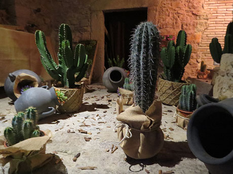 Temps de Flors 2025. Casa C&uacute;ndaro