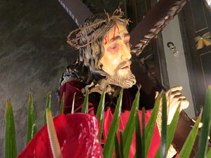 Temps de Flors 2025. Esgl&eacute;sia dels Dolors