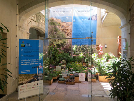 Temps de Flors 2025. Casa Forn - Diputació de Girona