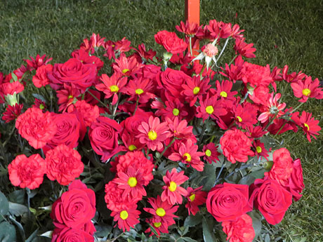 Temps de Flors 2025. Edifici Fòrum