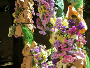 Temps de Flors 2025. Casa Solterra