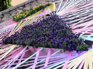 Temps de Flors 2025. Basílica de Sant Feliu. Escalinata