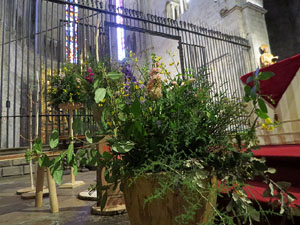 Temps de Flors 2025. Basílica de Sant Feliu (interior)