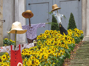 Temps de Flors 2025. Basílica de Sant Feliu. Escala nord