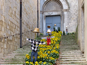 Temps de Flors 2025. Basílica de Sant Feliu. Escala nord