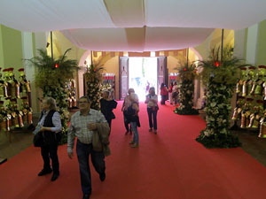 Temps de Flors 2025. Esgl&eacute;sia de Sant Lluc - Manaies