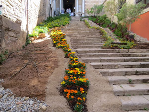 Temps de Flors 2025. Escales de l'església de Sant Martí