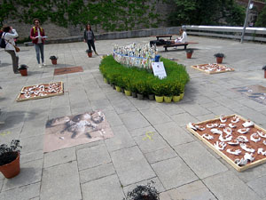 Temps de Flors 2025. Pla&ccedil;a de moss&egrave;n Jacint Verdaguer (dalt)