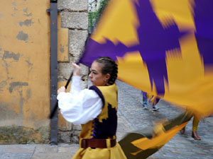 Toc de Rams. Cerim&ograve;nia del canvi de rams de les gegantes