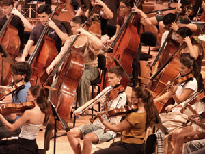 Festival Notes al parc 2026. Assaig de la Jove Orquestra de les Comarques Gironines
