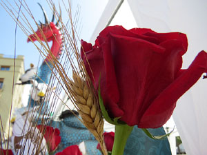 Diada de Sant Jordi 2026 a Girona