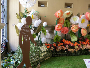 Temps de Flors 2026. Ajuntament (entrada)