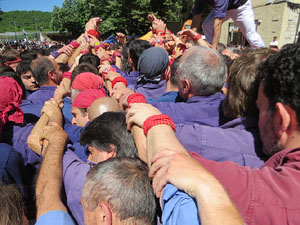 Temps de Flors 2026. Diada Castellera