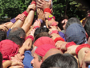 Temps de Flors 2026. Diada Castellera