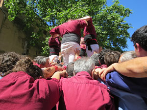 Temps de Flors 2026. Diada Castellera