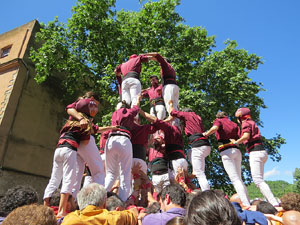 Temps de Flors 2026. Diada Castellera