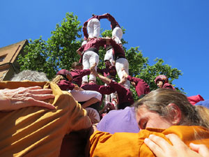 Temps de Flors 2026. Diada Castellera
