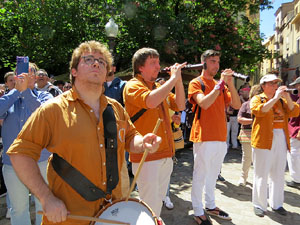 Temps de Flors 2026. Diada Castellera