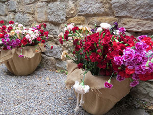 Temps de Flors 2026. La Catedral- Passad&iacute;s fossat de l'absis