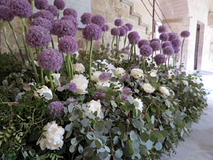 Temps de Flors 2026. La Catedral. Claustre
