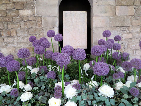 Temps de Flors 2026. La Catedral. Claustre
