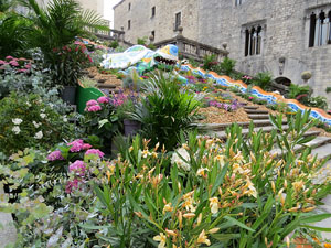 Temps de Flors 2026. La Catedral. Escales