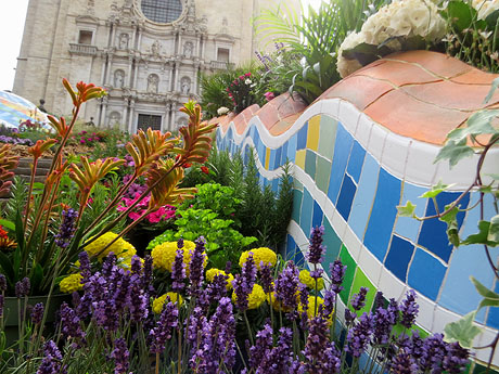 Temps de Flors 2026. La Catedral. Escales