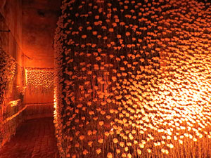 Temps de Flors 2026. Museu d'Hist&ograve;ria. La Cisterna