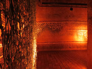 Temps de Flors 2026. Museu d'Hist&ograve;ria. La Cisterna
