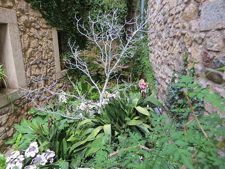 Temps de Flors 2026. Carrer Ferran el Cat&ograve;lic (pati)