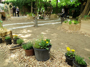 Temps de Flors 2026. Pla&ccedil;a de Narc&iacute;s Figueras