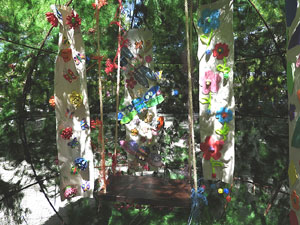 Temps de Flors 2026. Avinguda de Ramon Folc
