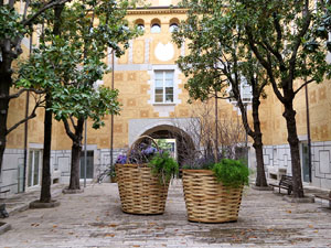 Temps de Flors 2026. Pati de les Magn&ograve;lies