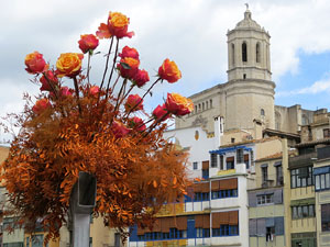 Temps de Flors 2026. Preparaci&oacute; i muntatges
