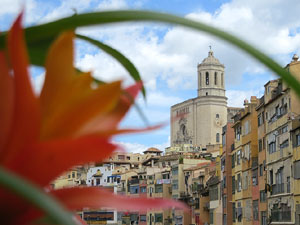 Temps de Flors 2026. Preparaci&oacute; i muntatges