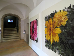 Temps de Flors 2026. Centre Cultural La Merc&egrave;