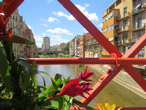 Temps de Flors 2026. Pont de les Peixateries Velles
