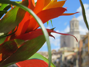 Temps de Flors 2026. Pont de les Peixateries Velles