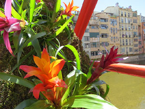 Temps de Flors 2026. Pont de les Peixateries Velles
