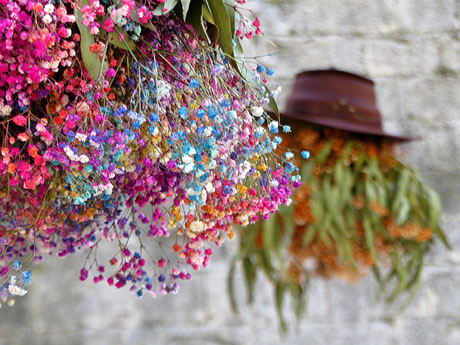 Temps de Flors 2026. Carrer de Trasfigueres